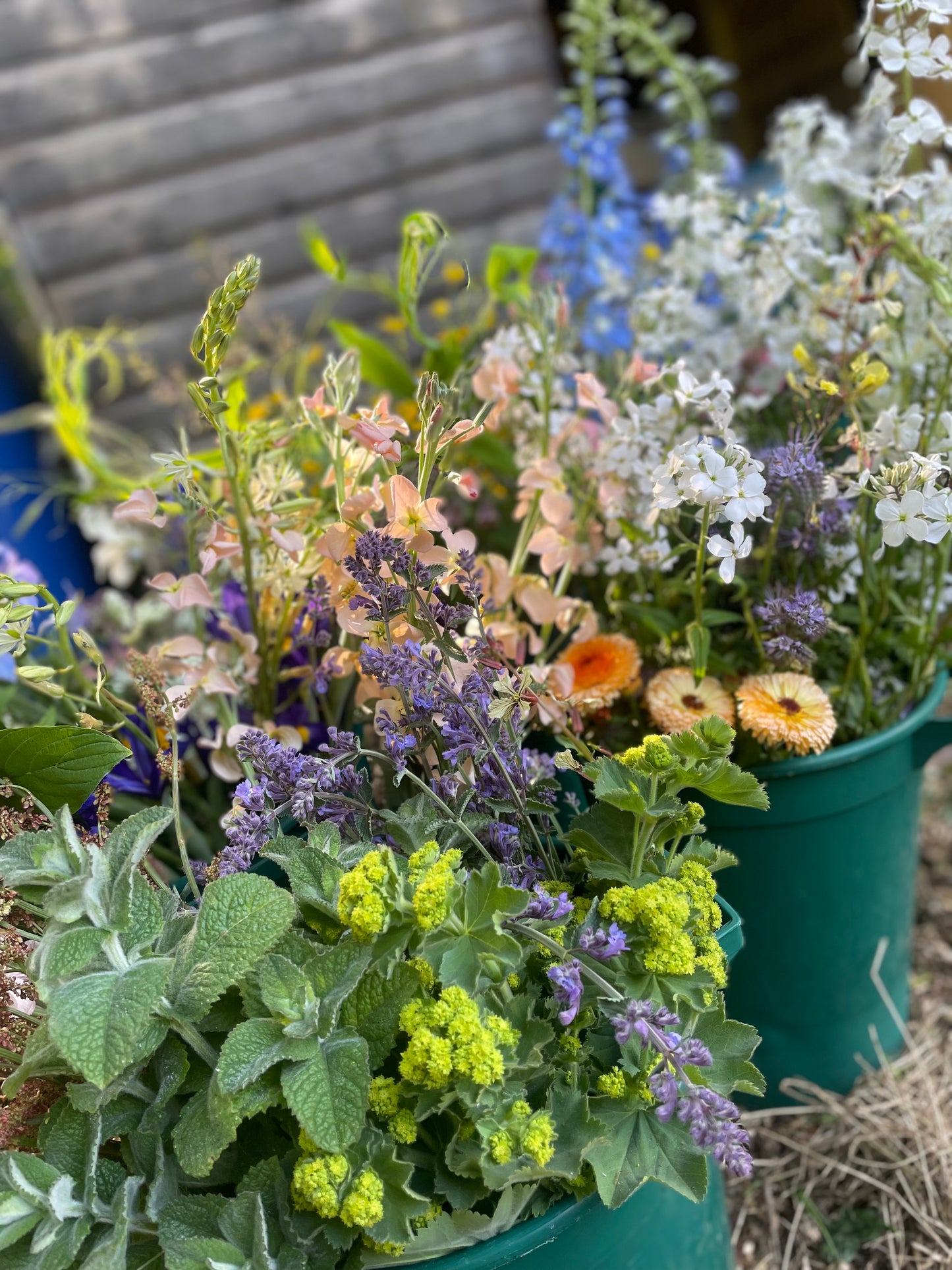 Seasonal Flowers Subscription Voucher