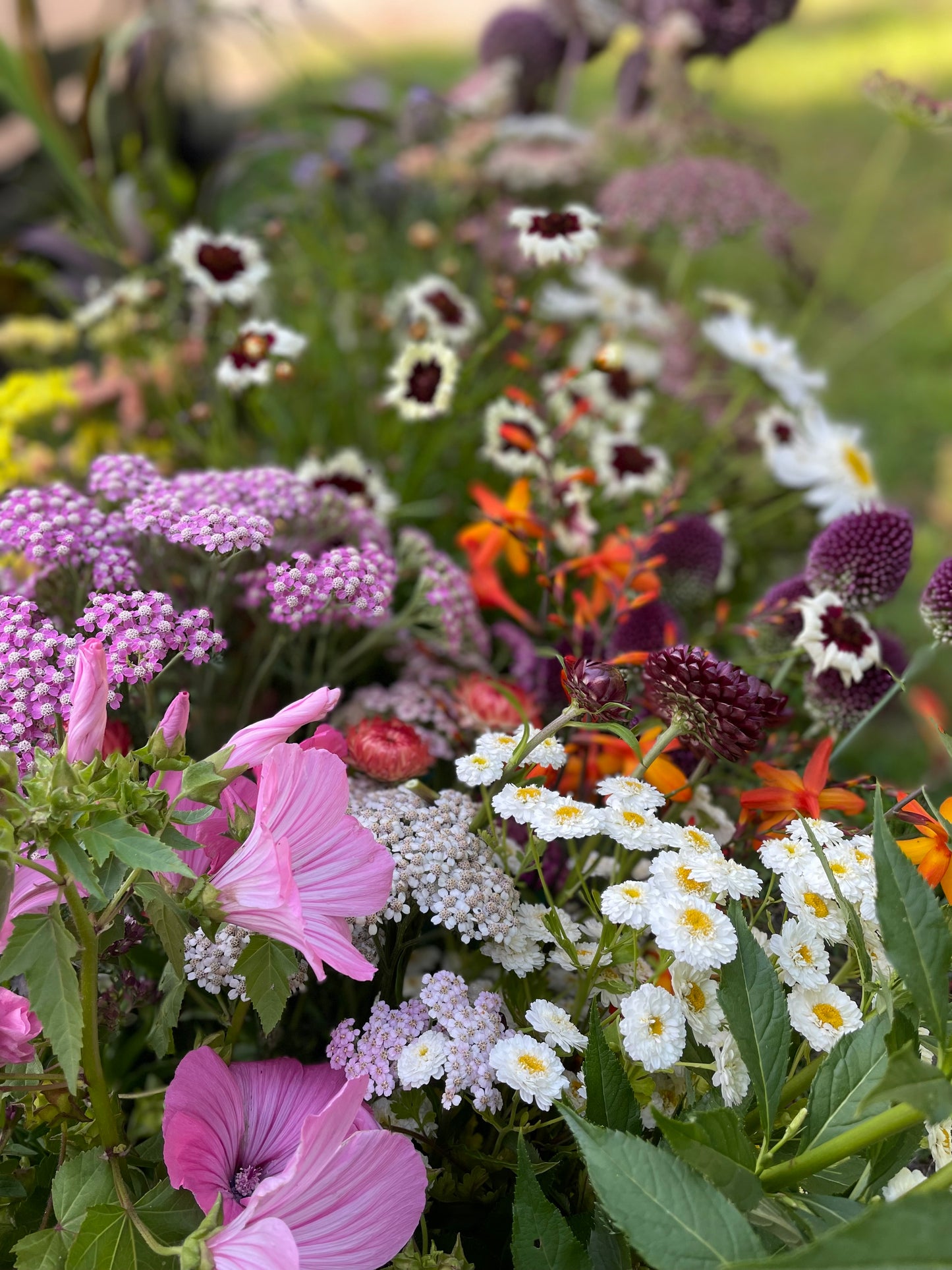 Seasonal Flowers Subscription Voucher