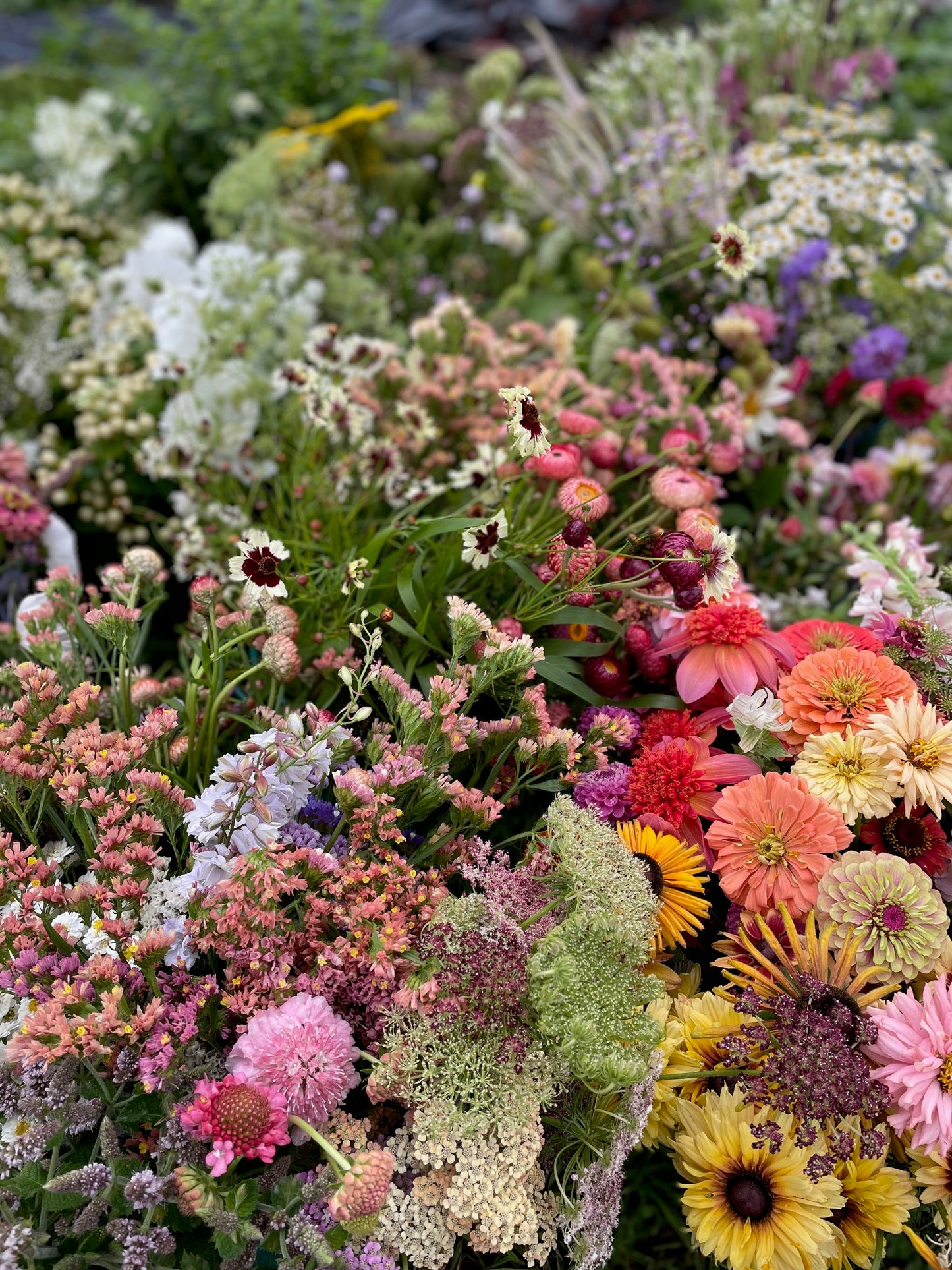 Flowers Flower Delivery Collection Mixed Buckets Locally Grown Mix Order Poynton Adlington Bollington Cheshire Gift Voucher Florist Subscription