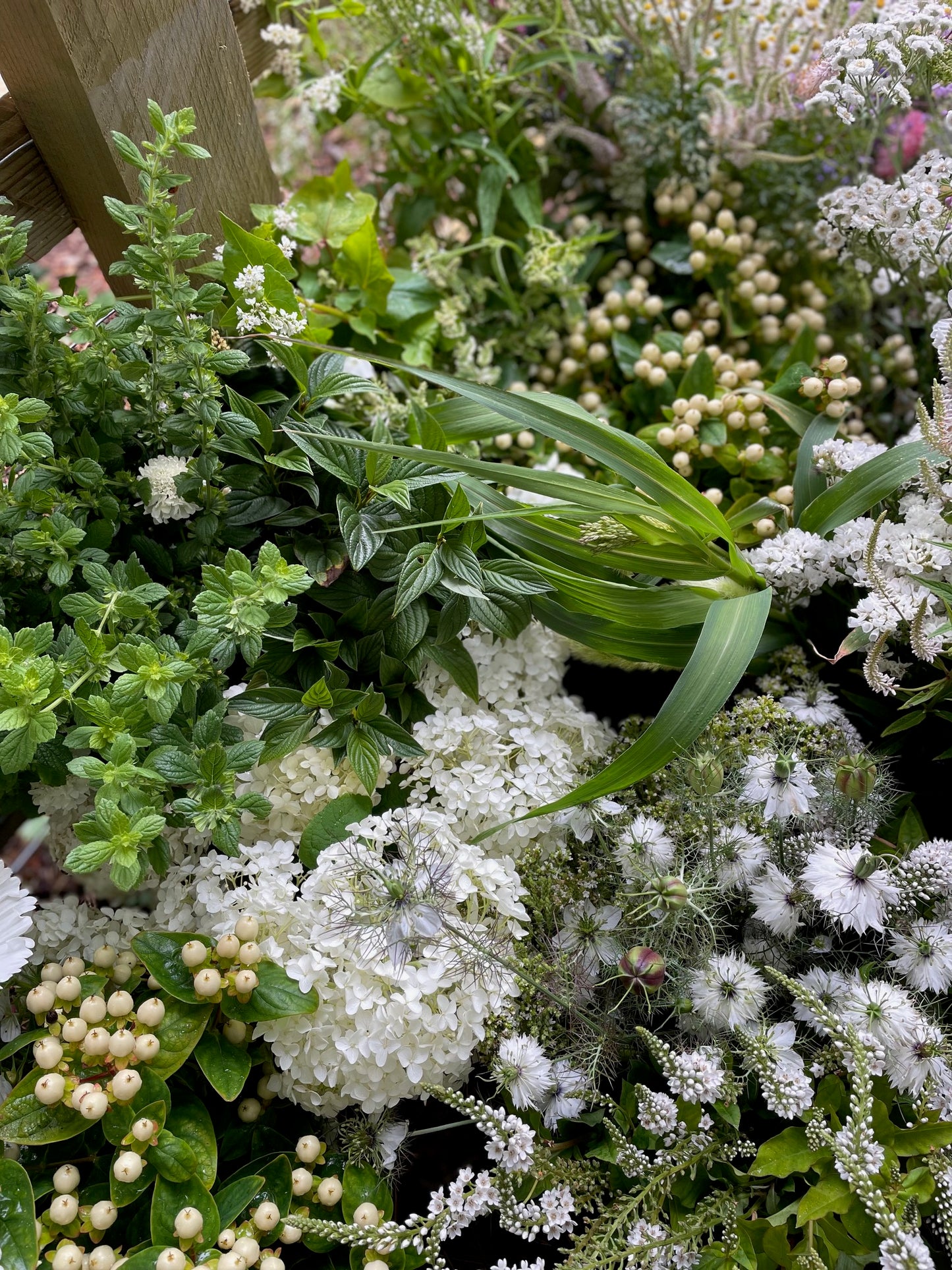 Full Moon Flora Farm grown Flowers Flower for Delivery or Collection. Mixed Buckets Locally Grown Mix Order Poynton Adlington Bollington Cheshire Gift Voucher Florist Subscription 