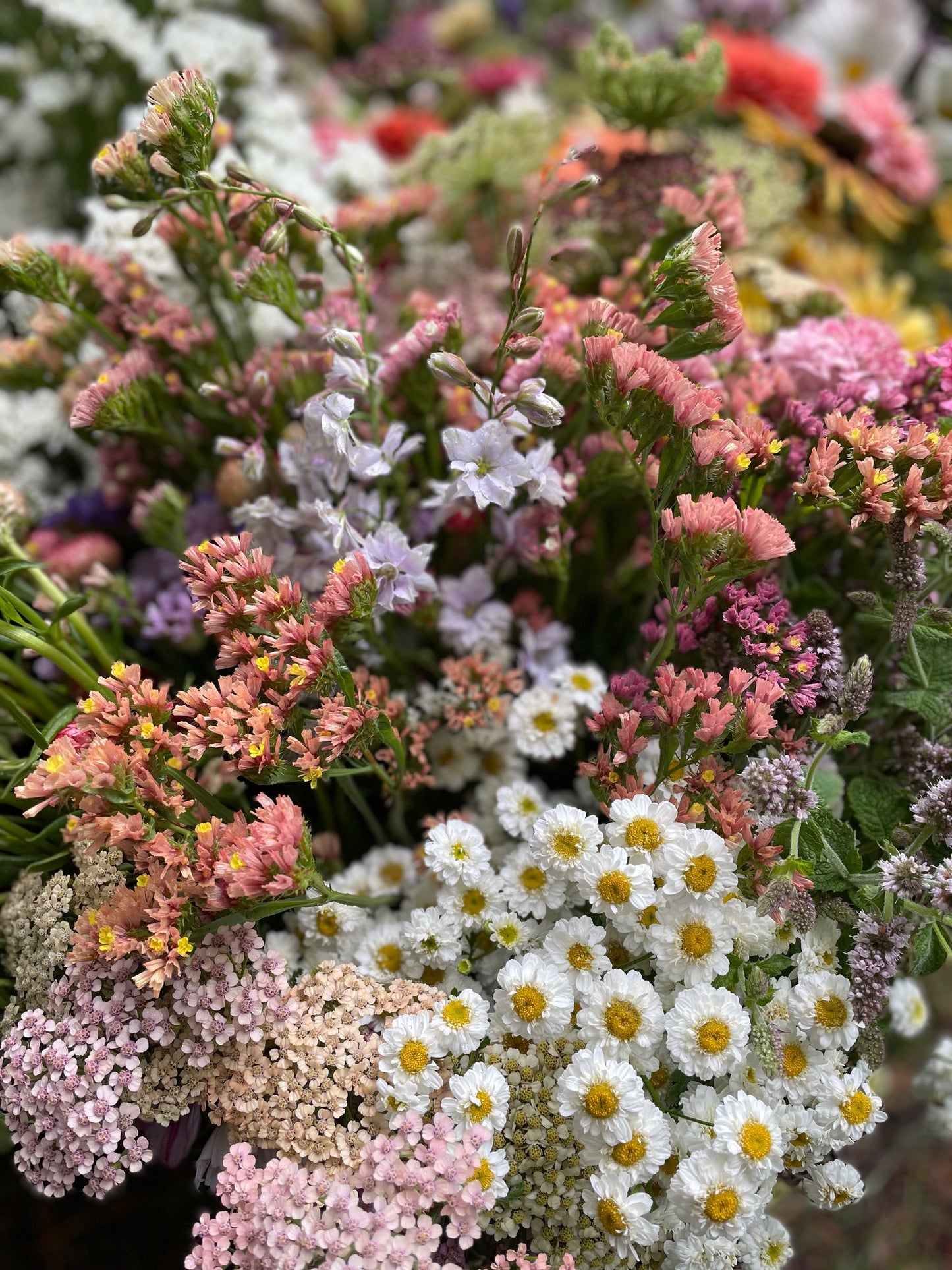 Farm Flowers Flower Delivery Collection  Mixed Buckets Locally Grown Mix Order Poynton Adlington Bollington Cheshire Farm Gift Voucher Florist Subscription Colourful