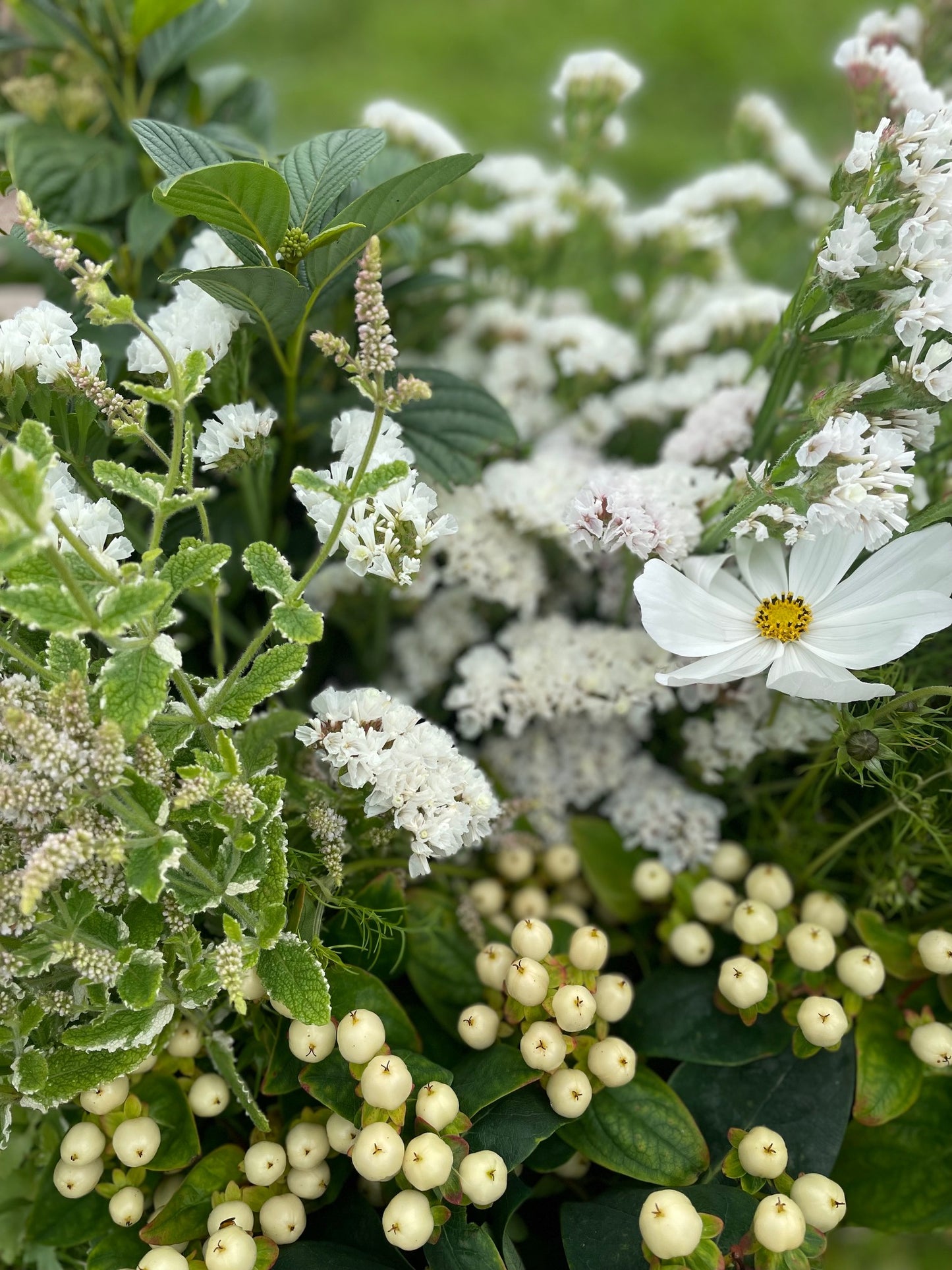 Locally grown Flowers, seasonal mixed DIY Buckets to order, white and green