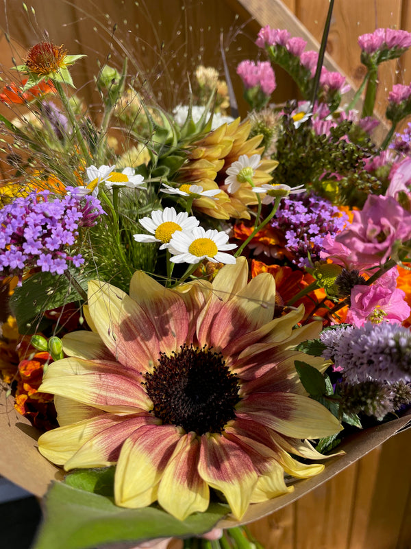 Farm Flowers Flower Delivery Collection  Mixed Buckets Locally Grown Mix Order Poynton Adlington Bollington Macclesfield Cheshire Florist Subscription Wedding DIY Retail Bouquet Market