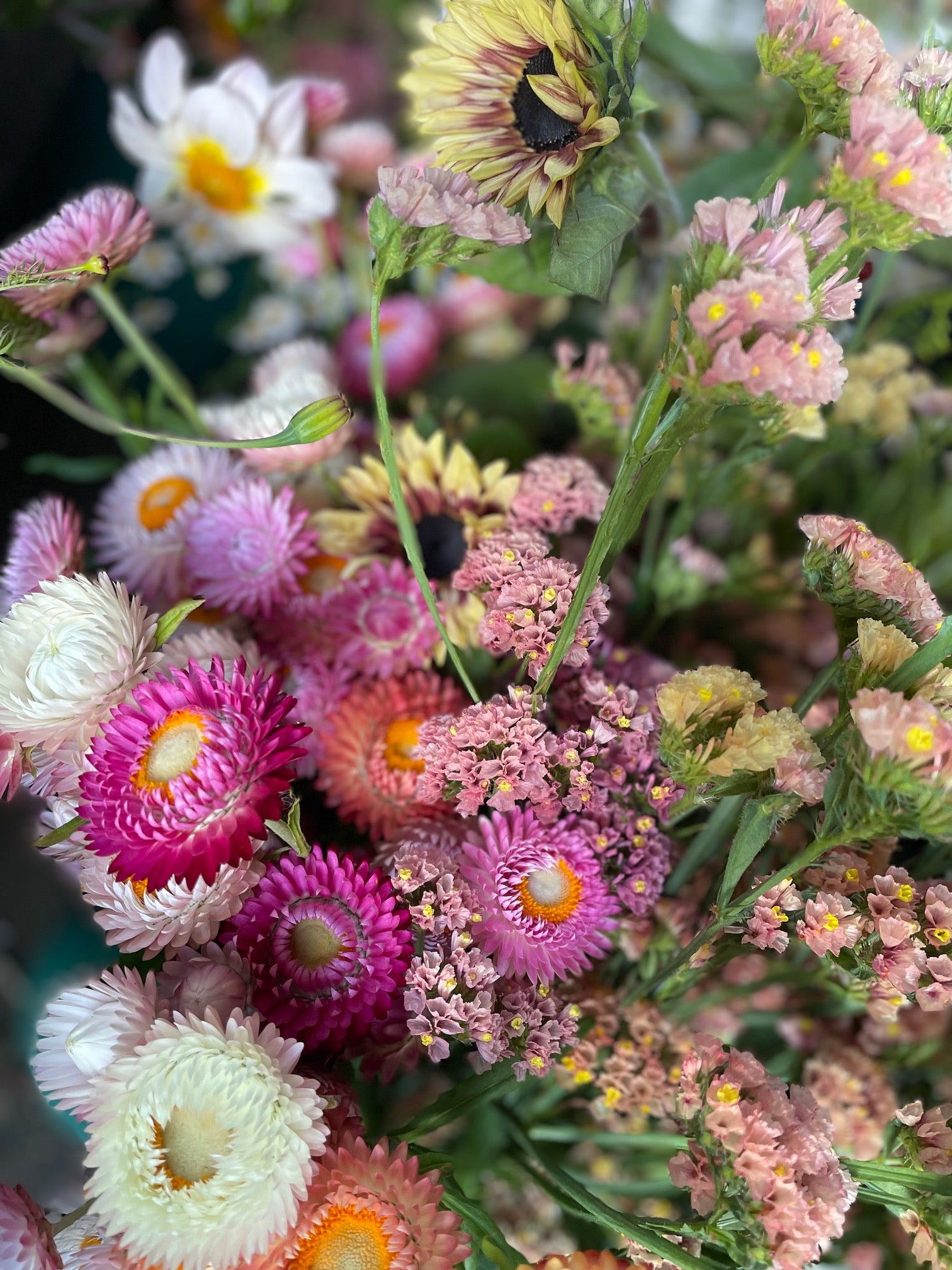 Farm Flowers Flower Delivery Collection  Mixed Buckets Locally Grown Mix Order Poynton Adlington Bollington Cheshire Gift Voucher Florist Subscription Colourful