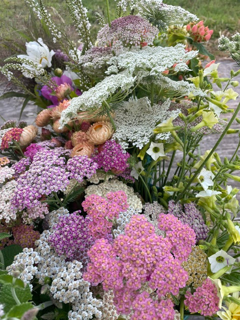 A close-up of a mixed wildflower bouquet featuring clusters of pink and purple wildflowers, white Queen Anne's lace, and green foliage.
