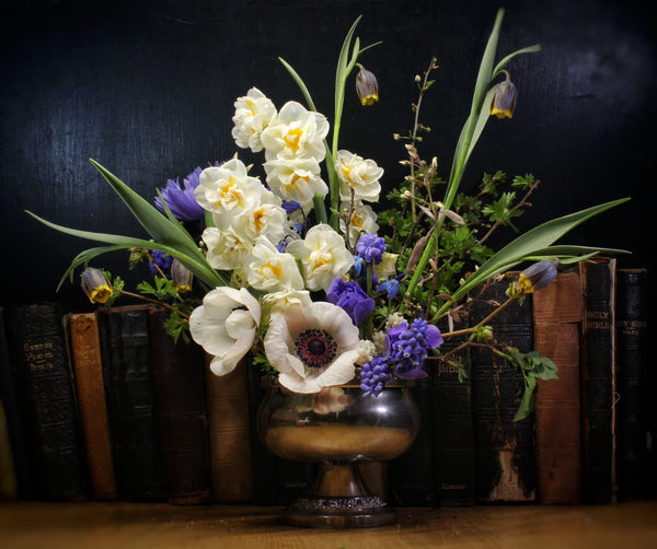 Full Moon Flora Flower Farm Spring Flowers for Collection. Mixed Buckets Locally Grown Mix Order Poynton Adlington Bollington Cheshire  Florist 